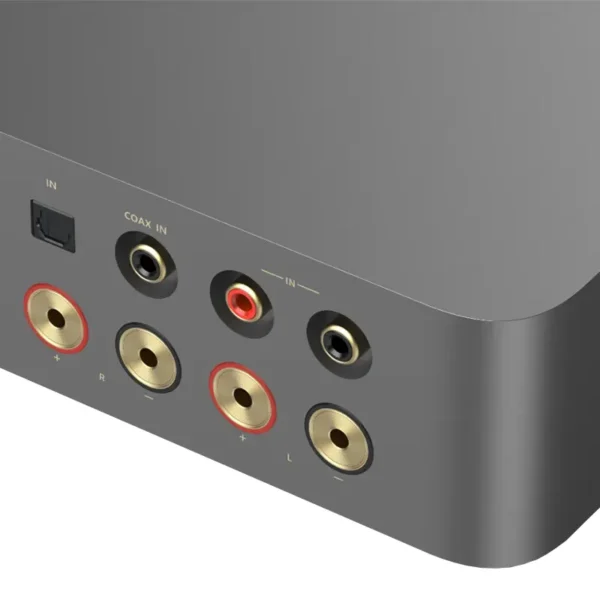 WiiM-Vibelink-Amp-back-closeup-1