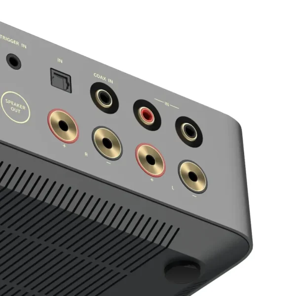 WiiM-Vibelink-Amp-back-closeup-2