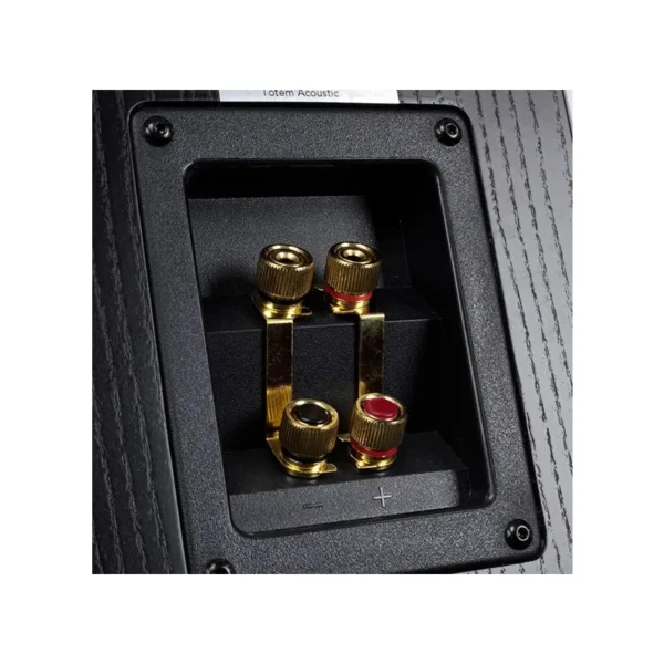 totem-Bison-Monitor-Black-Ash-back-closeup