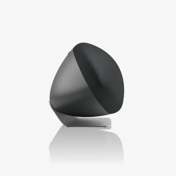 Bowers-and-wilkins-Zeppelin-Pro Edition-Space-Grey-side