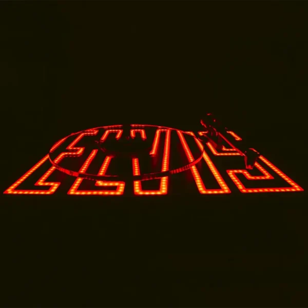 pro-ject-elvis-closeup