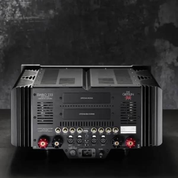 GRYPHON-DIABLO-333-open-back