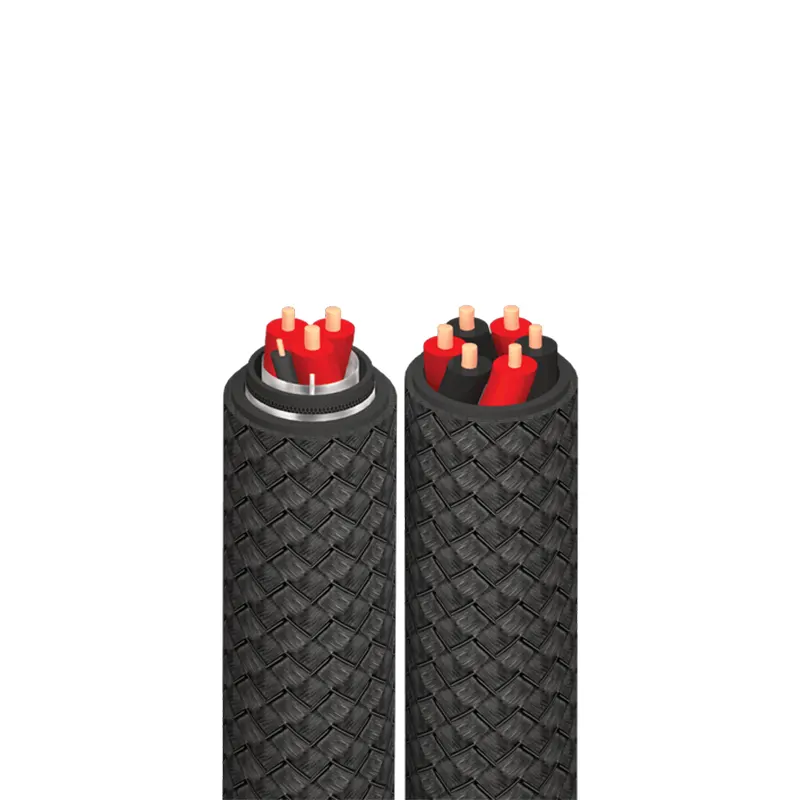 Audioquest BigFoot BASS