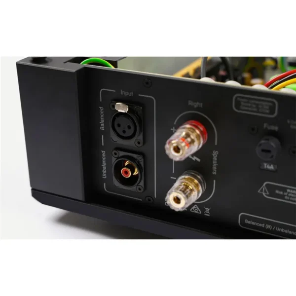 rega-Solis-back-closeup