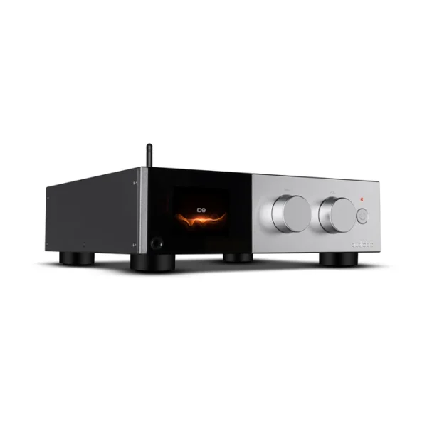 D9SilverStandard3_I