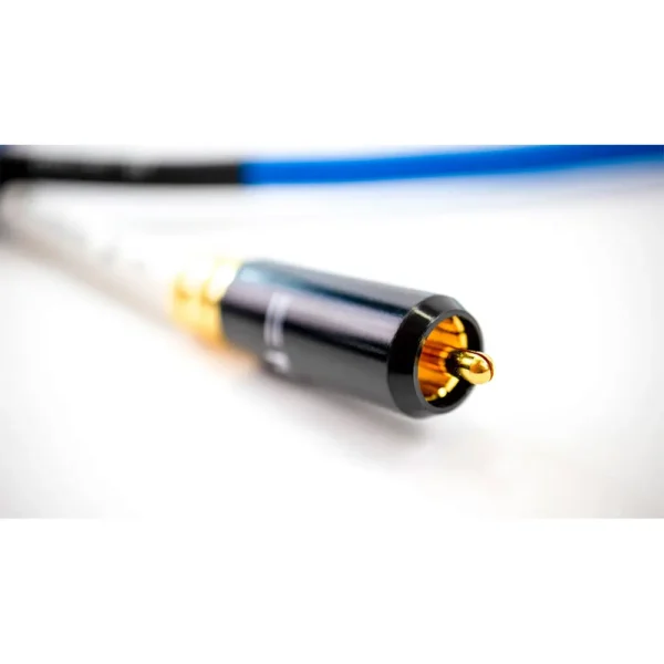 Blue-II-DRCA-4-scaled-1