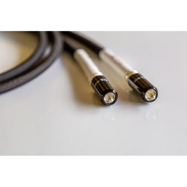 Silver-III-Phono-RCA-5-Natural