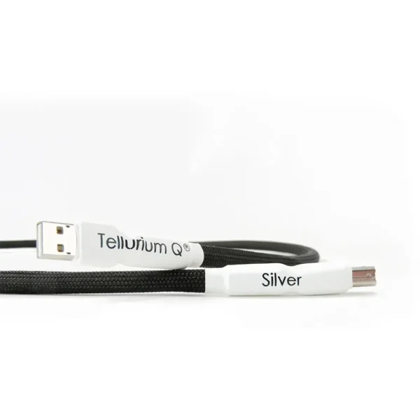 Silver-USB-3-1-scaled-1